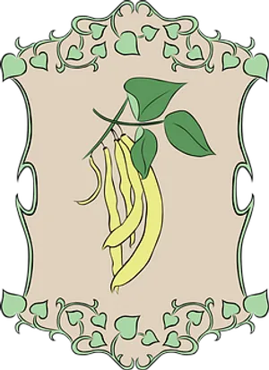 Green Bean Illustration Art PNG Image