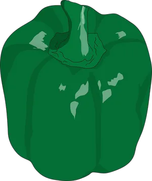 Green Bell Pepper Illustration PNG Image