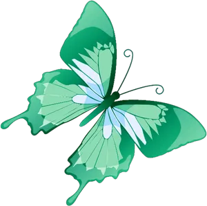 Green Butterfly Illustration PNG Image