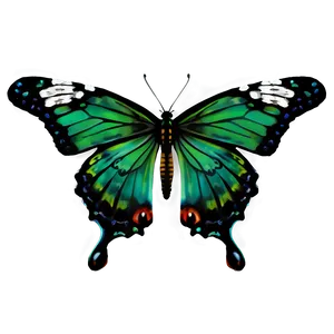 Green Butterfly Png 33 PNG Image