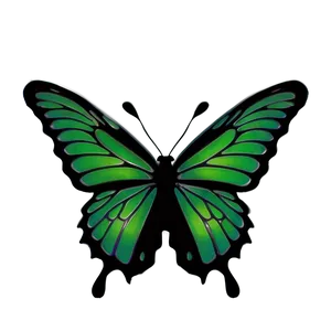 Green Butterfly Silhouette Png Hej94 PNG Image