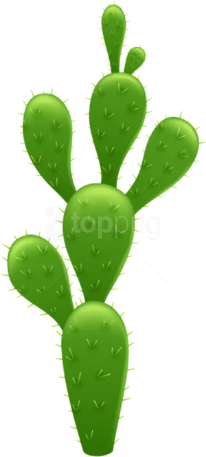 Green Cactus Black Background PNG Image