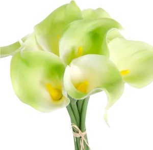 Green Calla Lilies Bouquet PNG Image