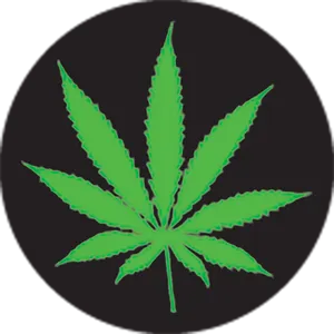 Green Cannabis Leaf Black Background PNG Image