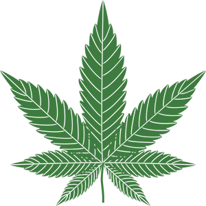 Green Cannabis Leaf Graphic PNG Image