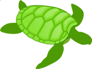 Green Cartoon Turtle Illustration PNG Image