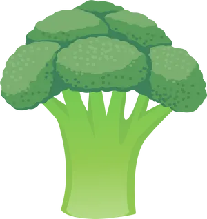 Green Cauliflower Illustration PNG Image