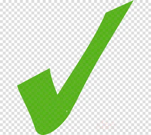 Green Checkmark Transparent Background.png PNG Image