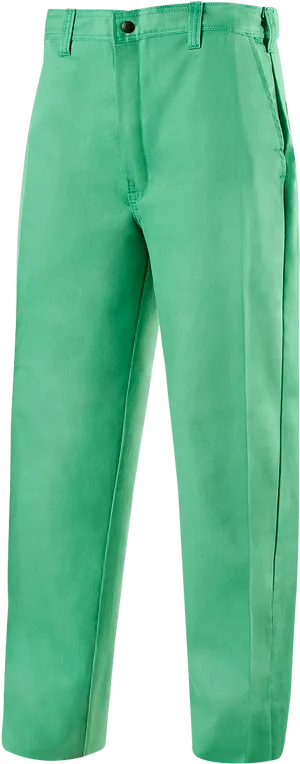 Green Chino Pants Single Item PNG Image