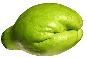 Green Citrus Fruit Texture PNG