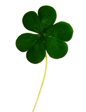 Green Clover Black Background PNG Image