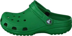 Green Croc Sandal Side View PNG Image