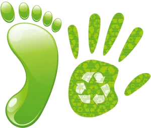 Green Eco Footprintand Handprint PNG Image