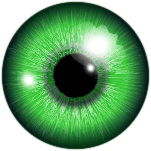 Green Eye Clipart PNG Image