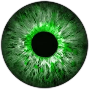 Green Eye Closeup Detail PNG Image