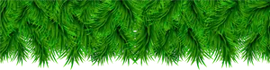 Green Fern Border Design PNG Image