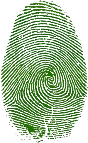 Green Fingerprint Pattern PNG Image