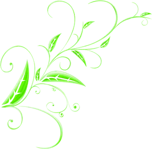 Green Floral Design Element.png PNG Image