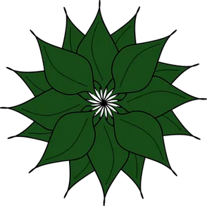 Green Floral Graphic Illustration PNG Image