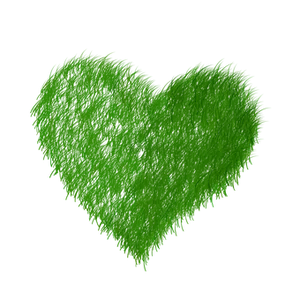 Green Furry Heart Graphic PNG Image