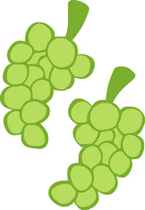 Green_ Grape_ Clusters_ Vector_ Illustration PNG Image