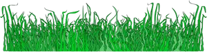 Green Grass Border Graphic PNG Image