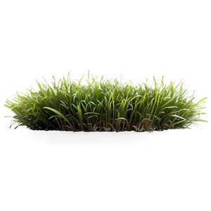 Green Grass Field Png Ydt24 PNG Image