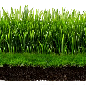 Green Grass For Landscaping Png 06262024 PNG Image