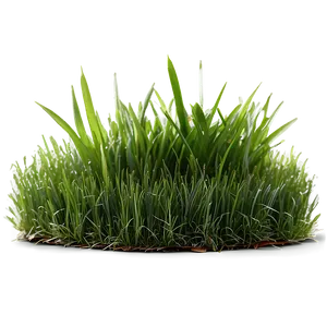 Green Grass For Sports Field Png 06262024 PNG Image