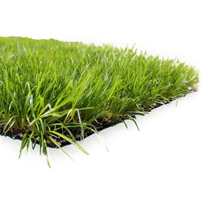 Green Grass In Wind Png Bps PNG Image