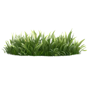 Green Grass Meadow Png Nay87 PNG Image