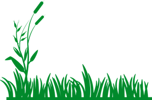 Green Grass Silhouette Vector PNG Image