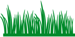 Green Grass Silhouette Vector PNG Image