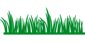 Green Grass Silhouetteon Black Background PNG Image