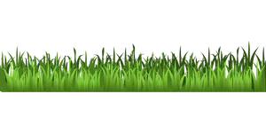 Green Grass Texture Panorama PNG Image