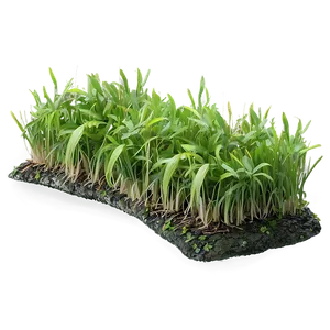 Green Grass Underfoot Png Hau43 PNG Image