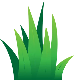 Green Grass Vector Illustration PNG Image