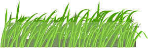 Green Grass Vector Illustration PNG