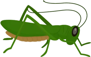 Green Grasshopper Illustration PNG Image