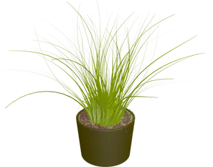 Green Grassin Flower Poton Black Background PNG Image