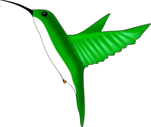 Green Hummingbird Illustration PNG Image