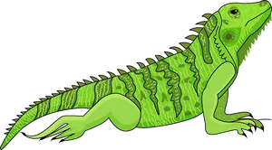 Green Iguana Illustration PNG Image