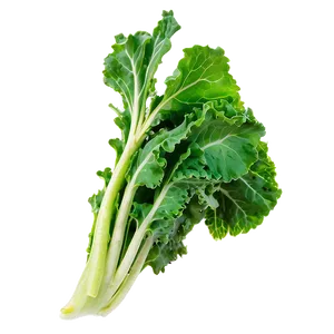 Green Kale Leaf Png Gmd98 PNG Image