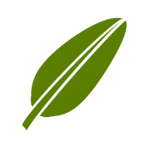 Green Leaf Black Background PNG