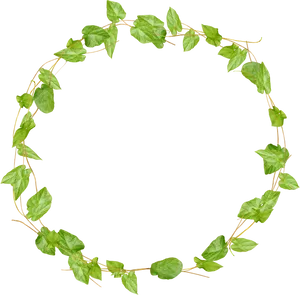 Green Leaf Circular Border Design.png PNG Image