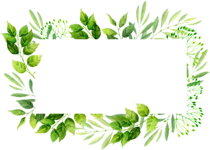 Green Leaf Decorative Frame PNG Image