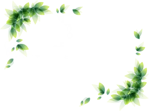 Green Leaf Floral Decorative Corner Border PNG Image