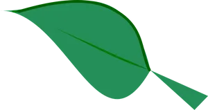 Green Leaf Graphicon Black Background PNG