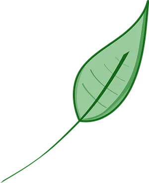 Green Leaf Vector Illustration PNG