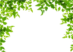 Green Leafy Frame Background PNG Image